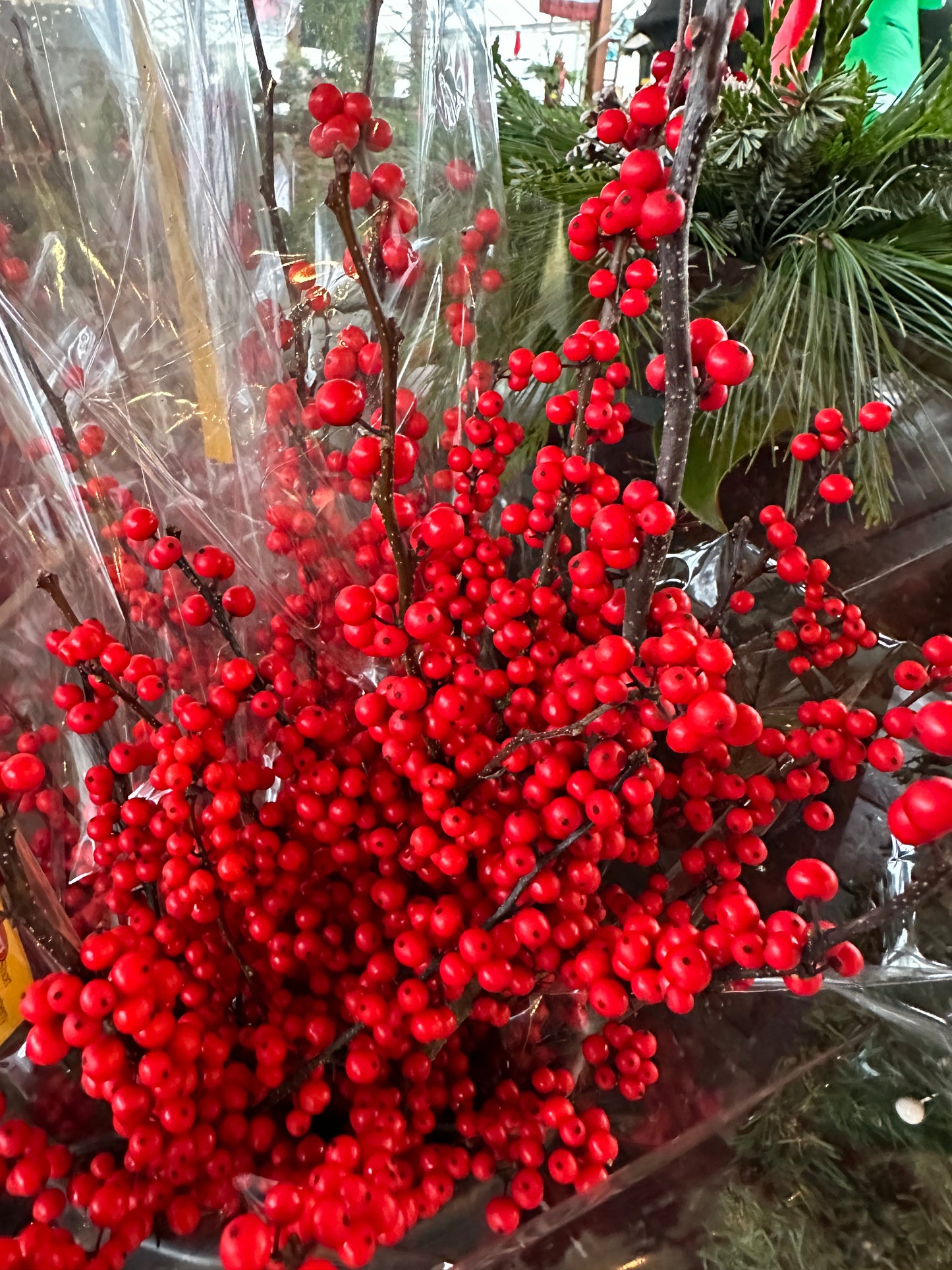 Short Winterberry Ilex Bundle (Xmas)