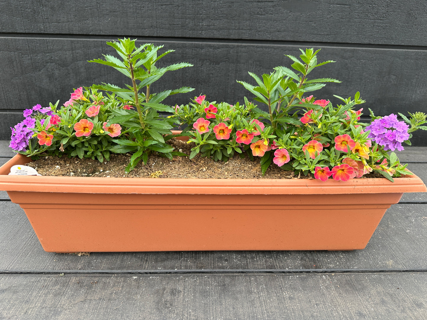 COMBO #36 - 24" WINDOW BOX