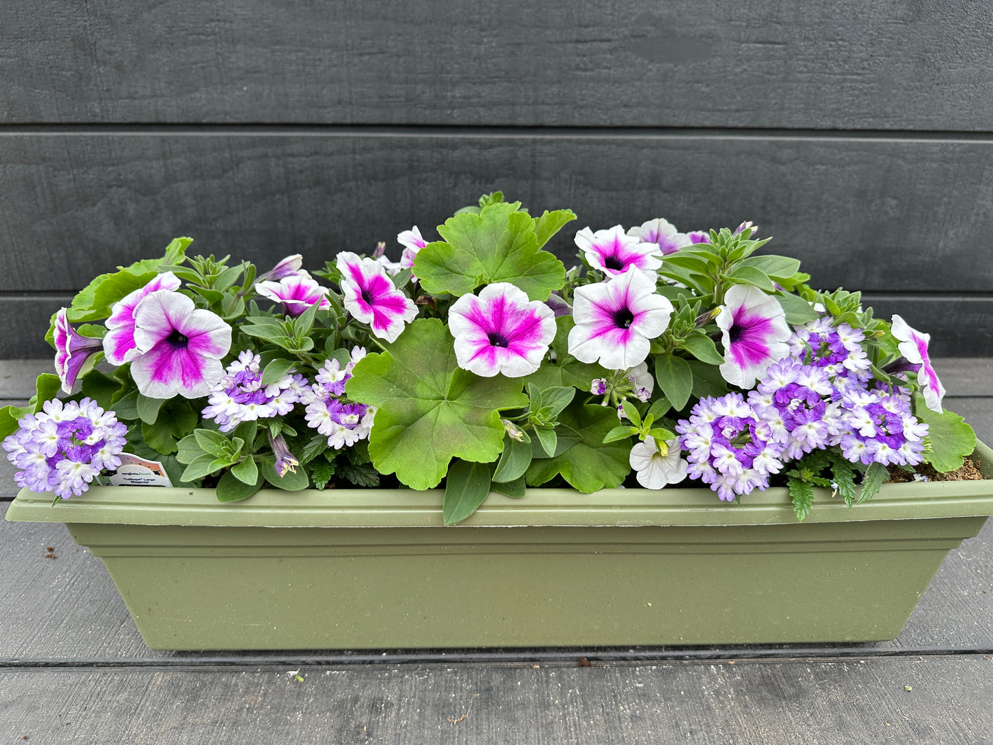 COMBO #10 - 24'' WINDOW BOX