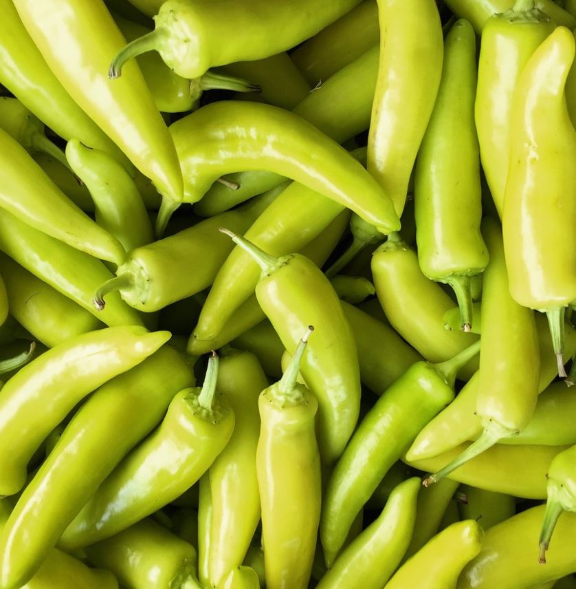 PEPPER HUNGARIAN YELLOW WAX - FLAT OF 32 PLANTS