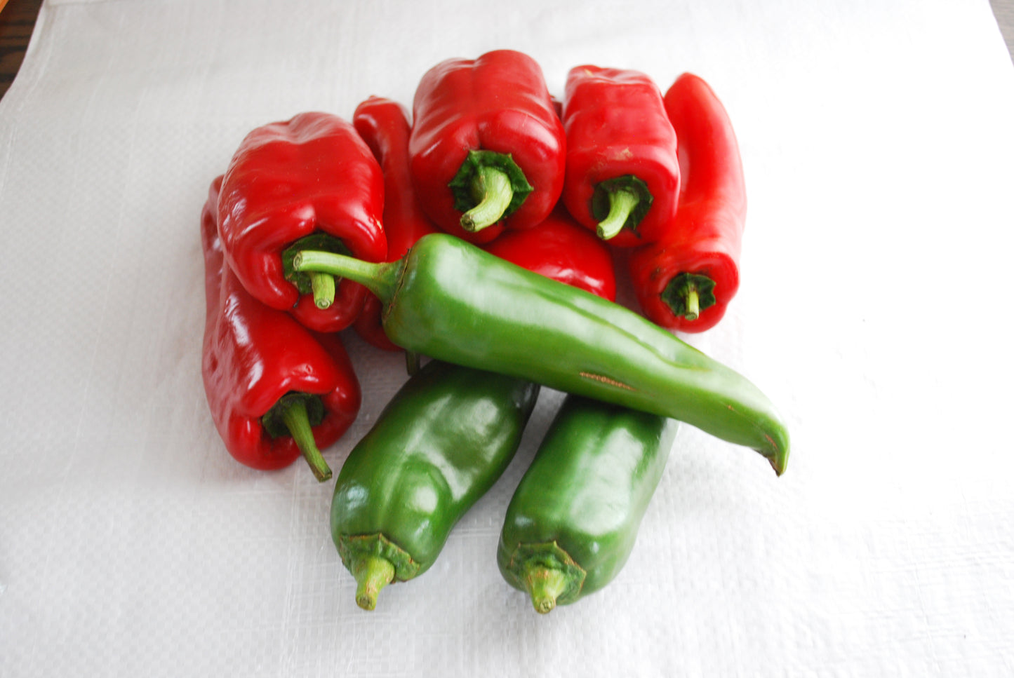 PEPPER ANAHEIM CHILI - 4'' POT