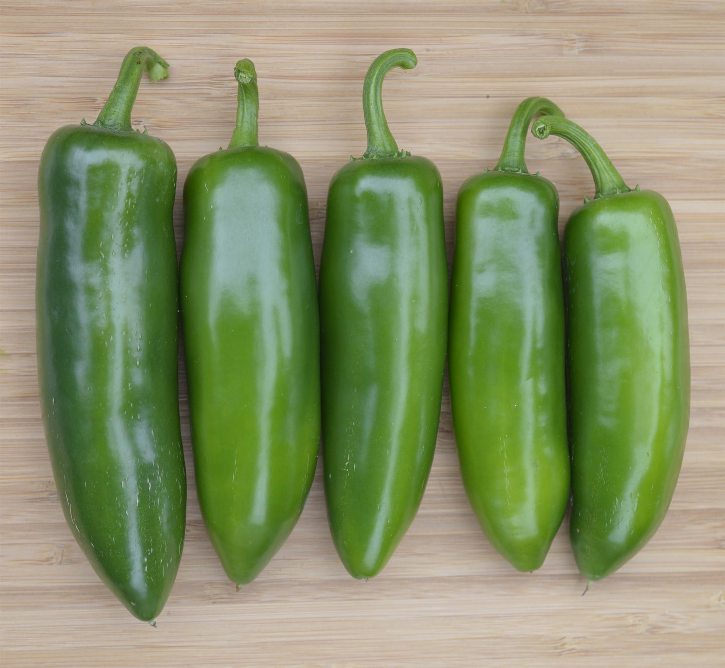 PEPPER TRICKED YOU JALAPENO - FLAT OF 32 PLANTS