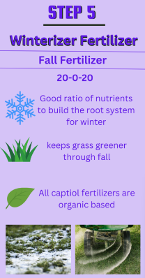 Step 5: 12-0-12 Winterizer
