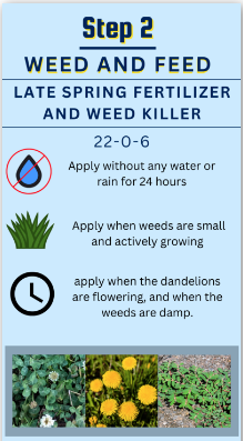 Step 2: 22-0-6 Weed and Feed