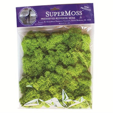 SuperMoss 120cu Bag PR Reindeer Moss Chartreuse