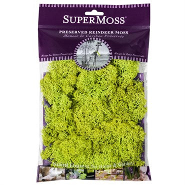 SuperMoss 2oz Reindeer Moss Chartreuse