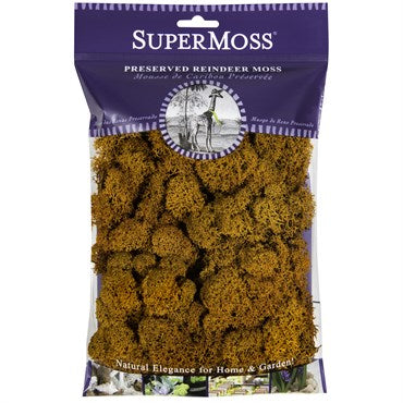 SuperMoss 80cu Bag Preserved Reindeer Moss Rust
