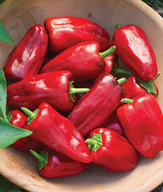 PEPPER SWEET HEAT - 4'' POT