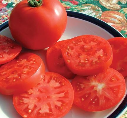 TOMATO LEGEND - 4" POT