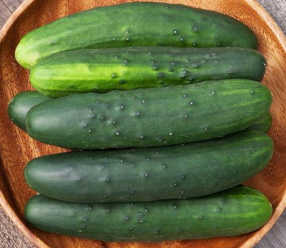 CUCUMBER SLICING MARKETMORE - 4" POT