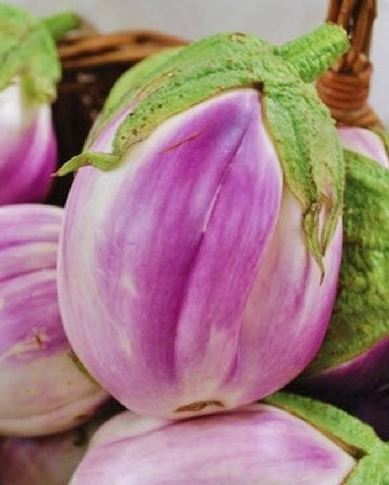 EGGPLANT ROSA BIANCA - FLAT OF 32 PLANTS