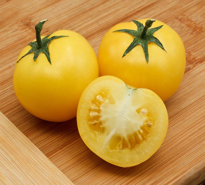 TOMATO LEMON BOY - 4" POT