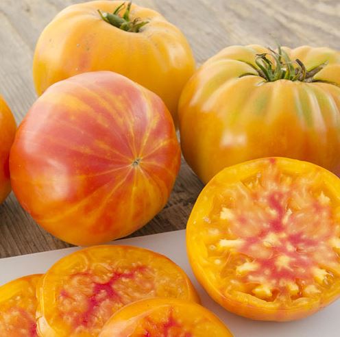 TOMATO MR. STRIPEY - 4" POT