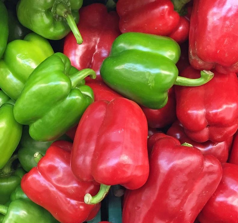 PEPPER CALIFORNIA WONDER - FLAT OF 32 PLANTS