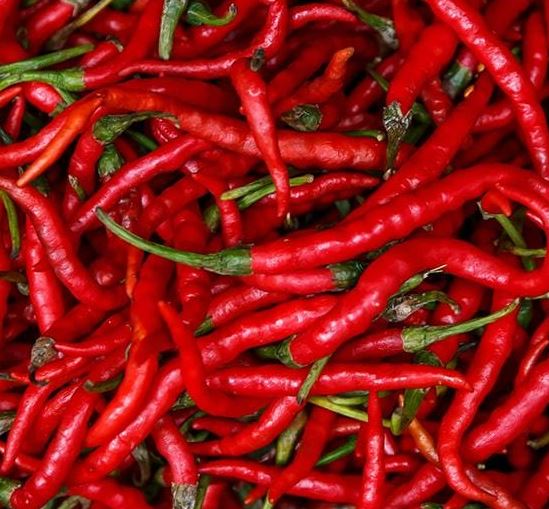 PEPPER CAYENNE LONG SLIM - 4" POT