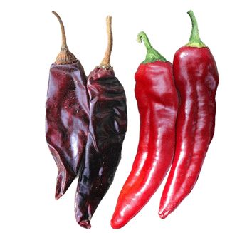 PEPPER DURANGO - 4" POT