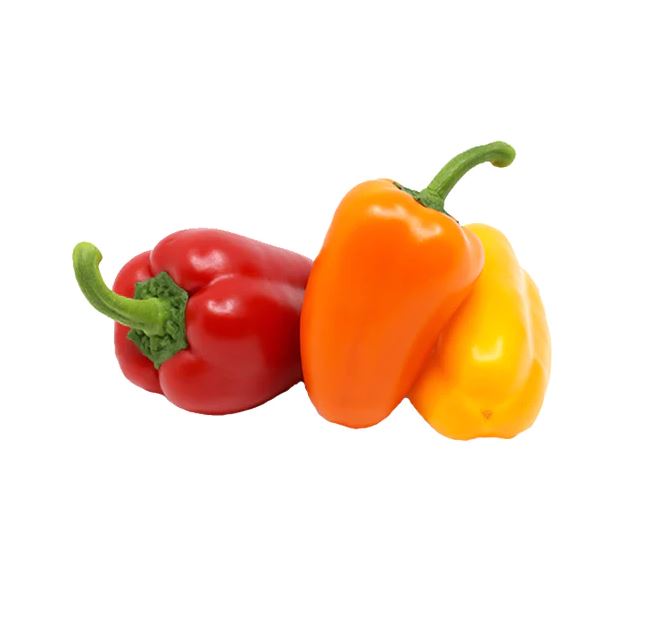 PEPPER MINI BELLE MIX - 8" POT