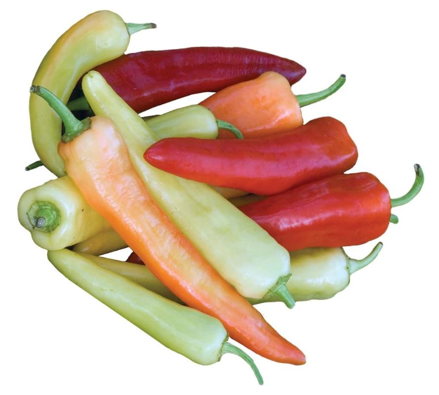 PEPPER SWEET BANANA - FLAT OF 32 PLANTS