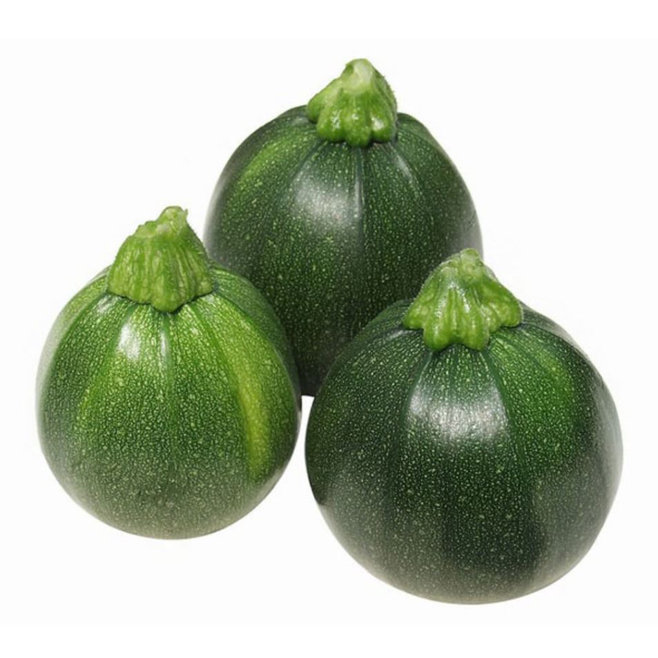 SQUASH SUMMER EIGHT BALL - 4" POT