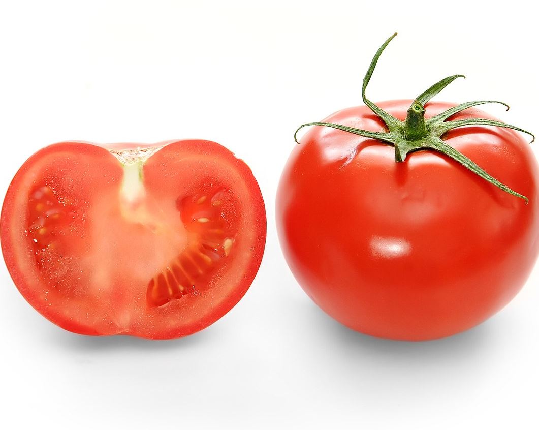 TOMATO CAMPBELL 1327 - 4'' POT