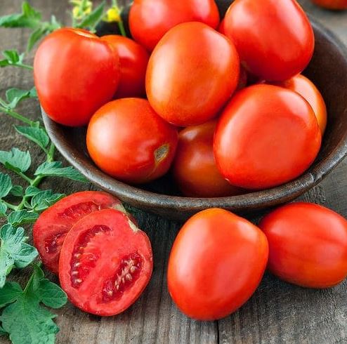 TOMATO HEINZ 1439 - 4" POT