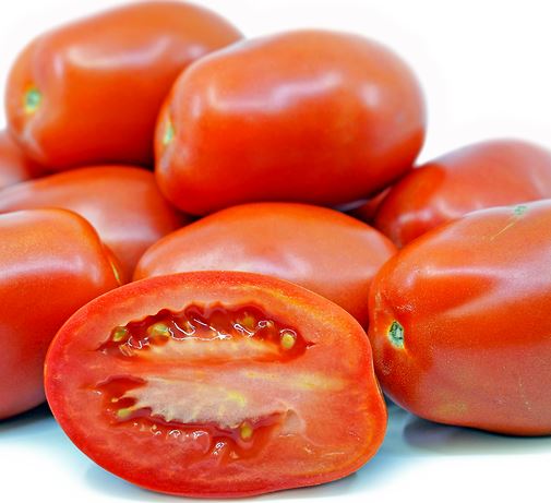 TOMATO LA ROMA - FLAT OF 32 PLANTS