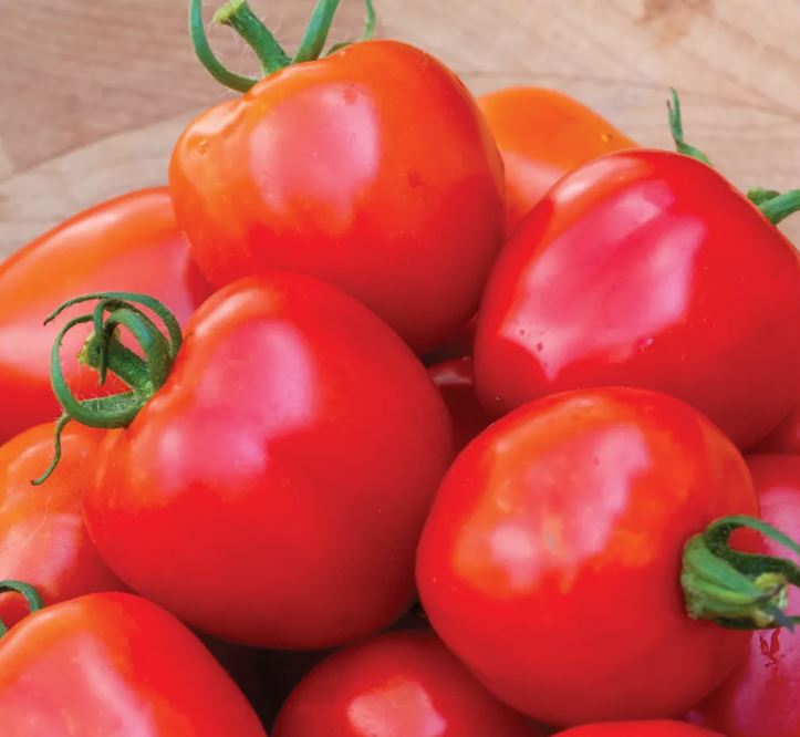 TOMATO TOMATOBERRY - 4" POT