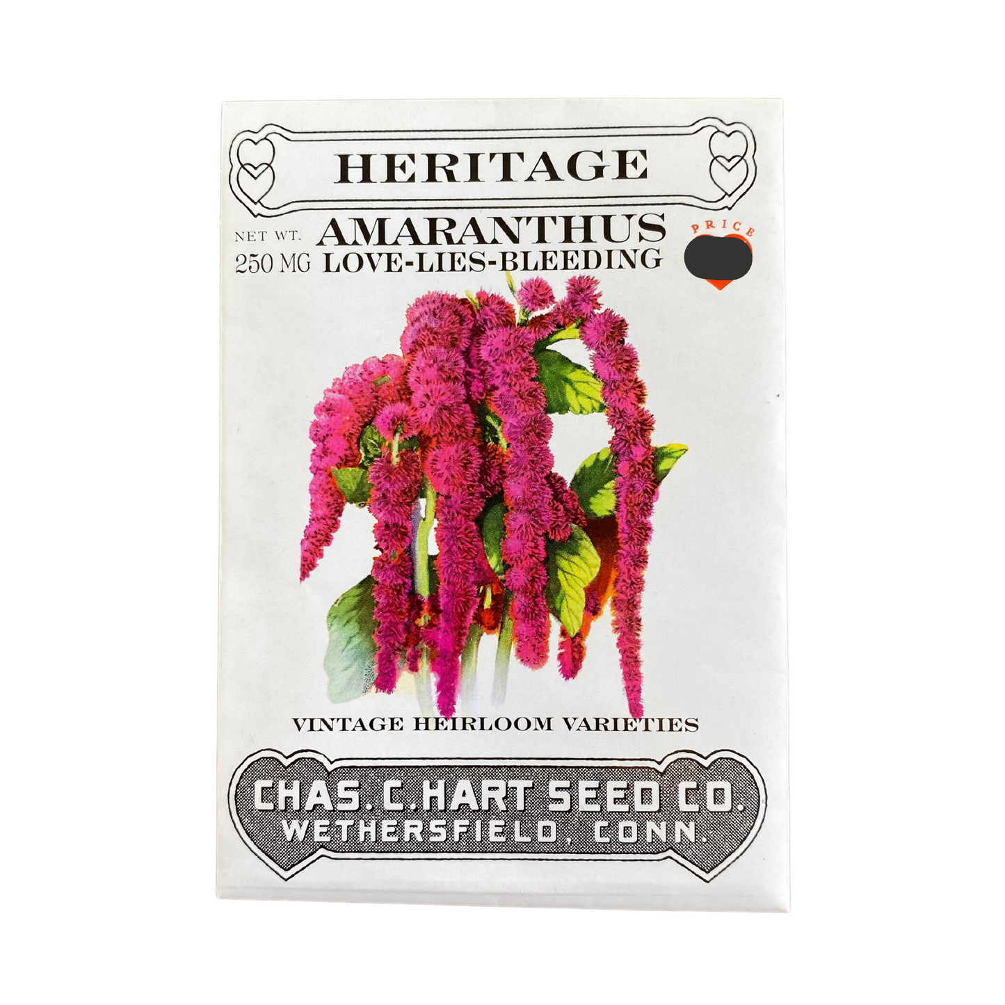Heritage Amaranthus LoveLies Bleeding