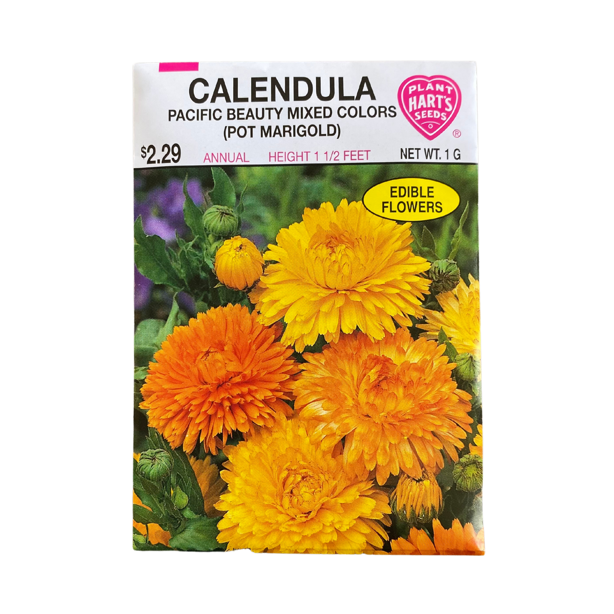 Calendula Pacific Beauty – Deneweth's Garden Center