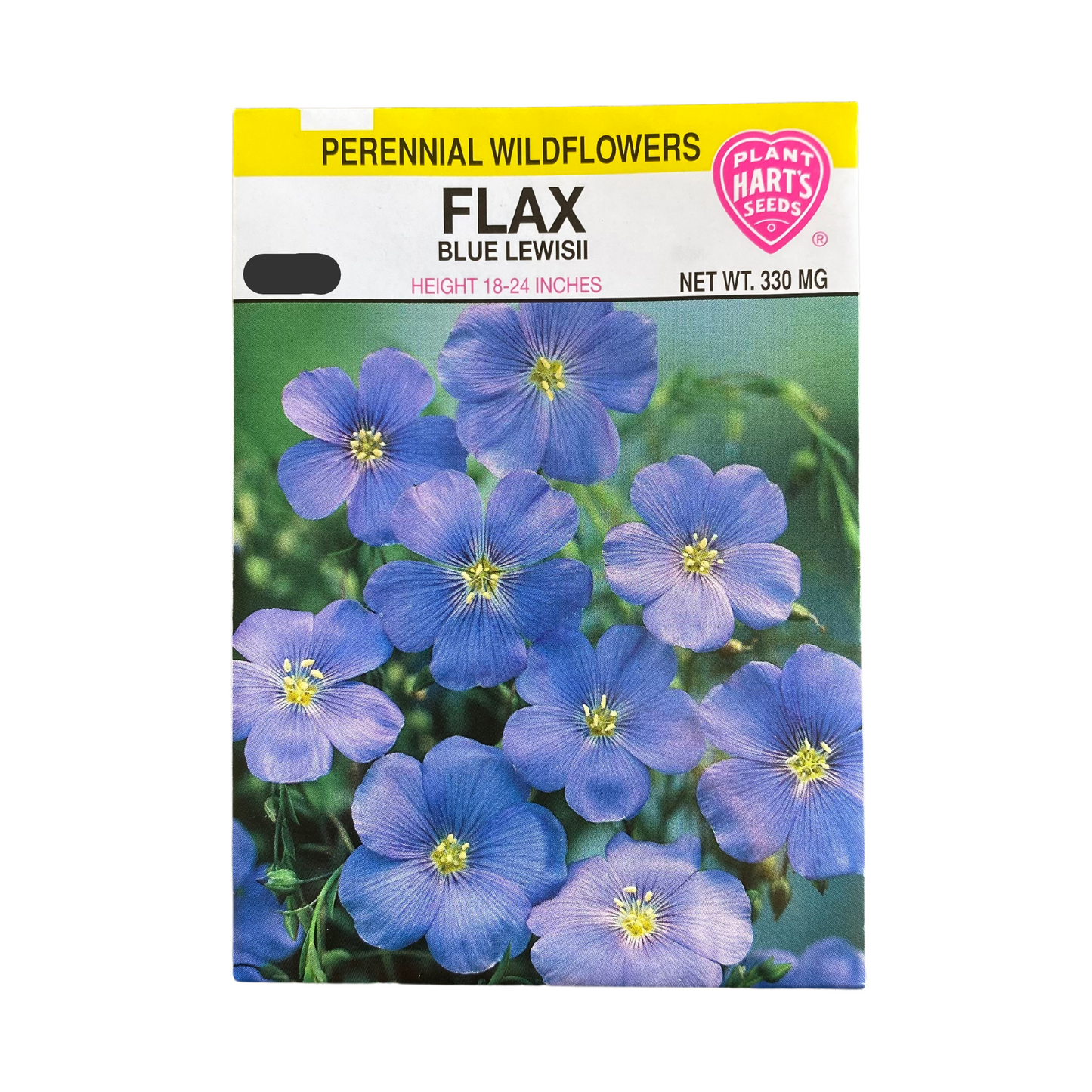 Flax Blue Lewisii