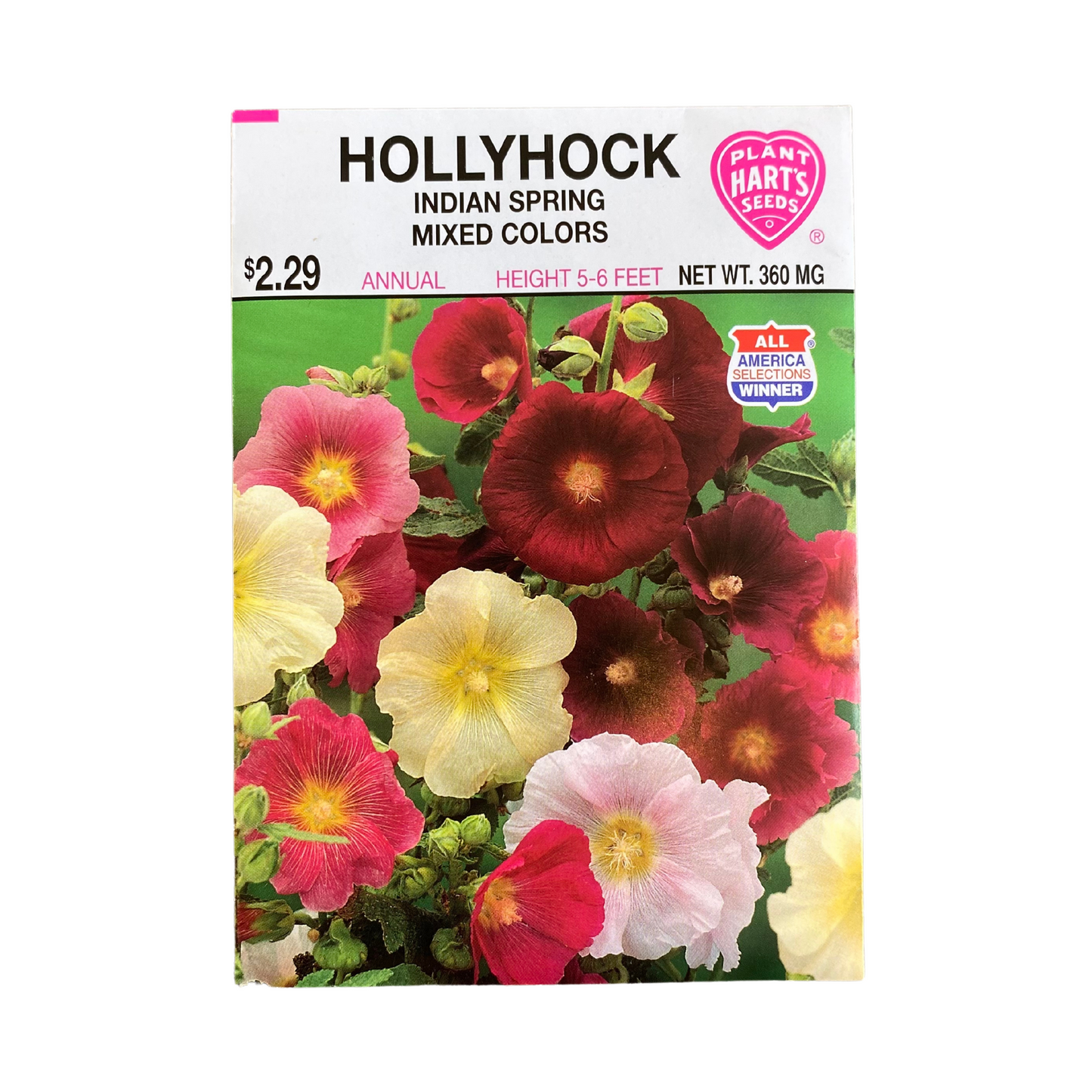 Hollyhock Indian Spring