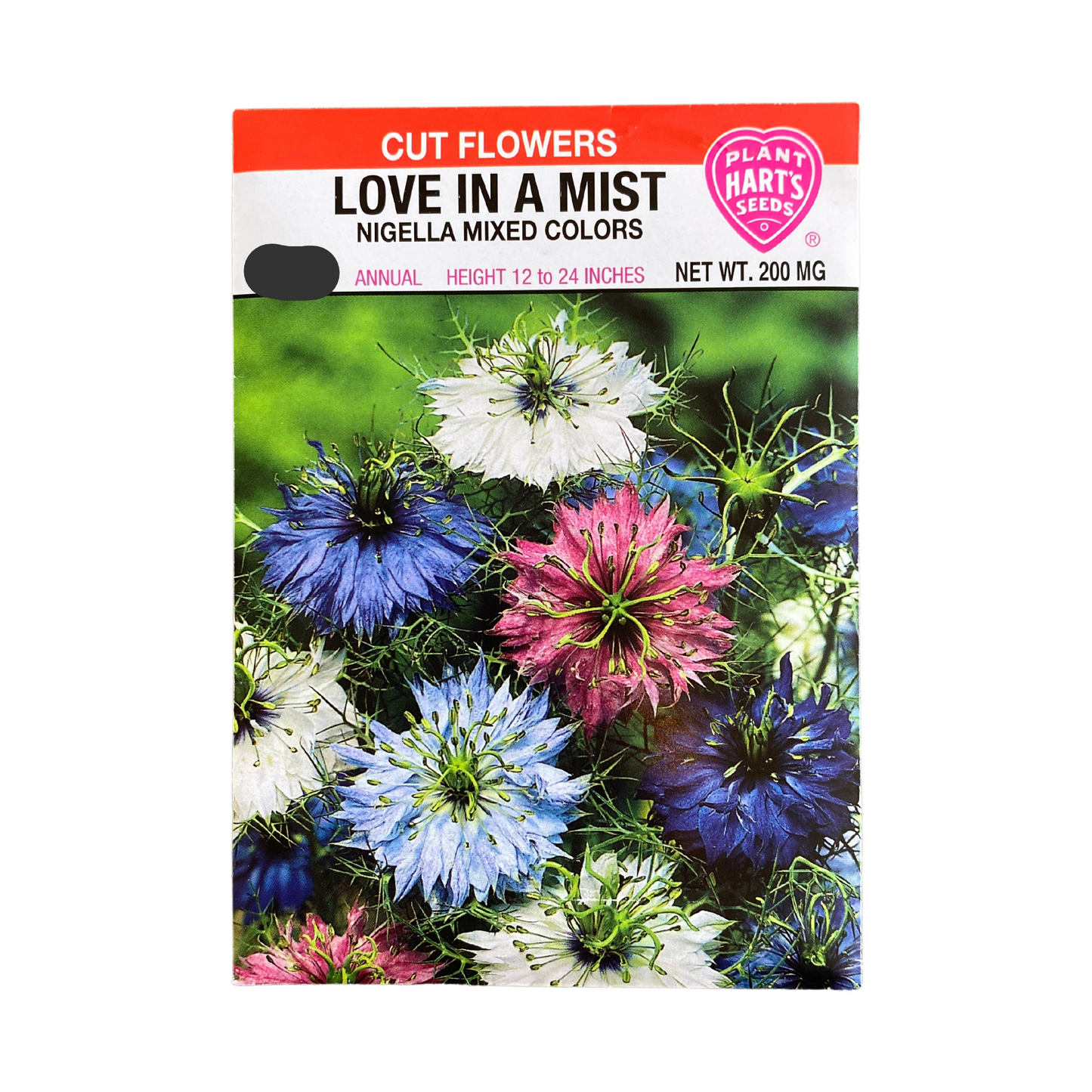 Love in a Mist (Nigella)