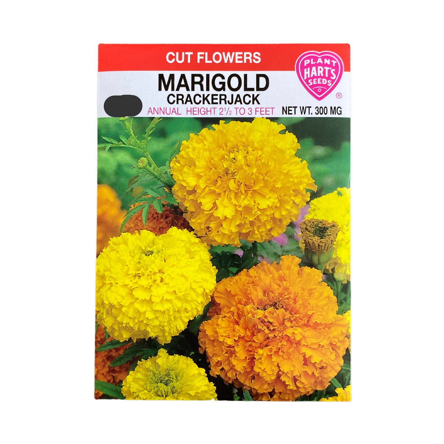 Marigold Crackerjack