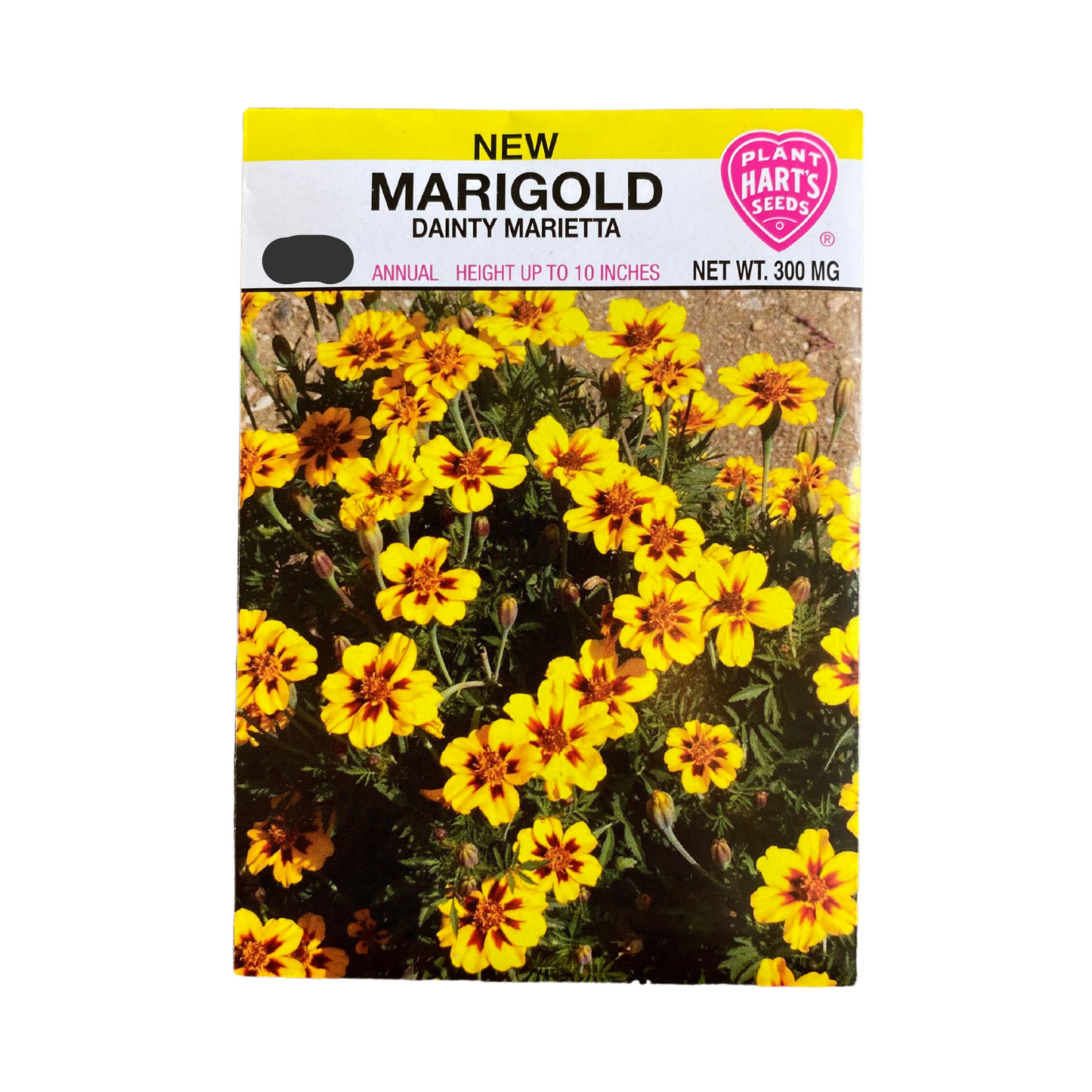 Marigold Dainty Marietta