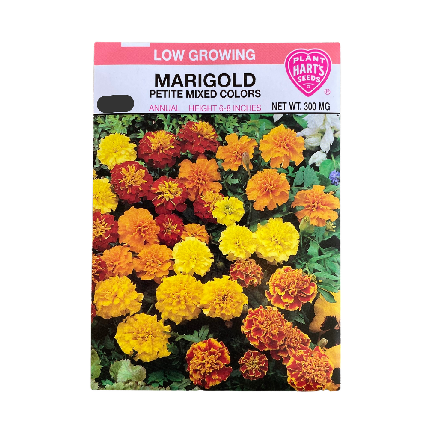 Marigold Petite Mixed