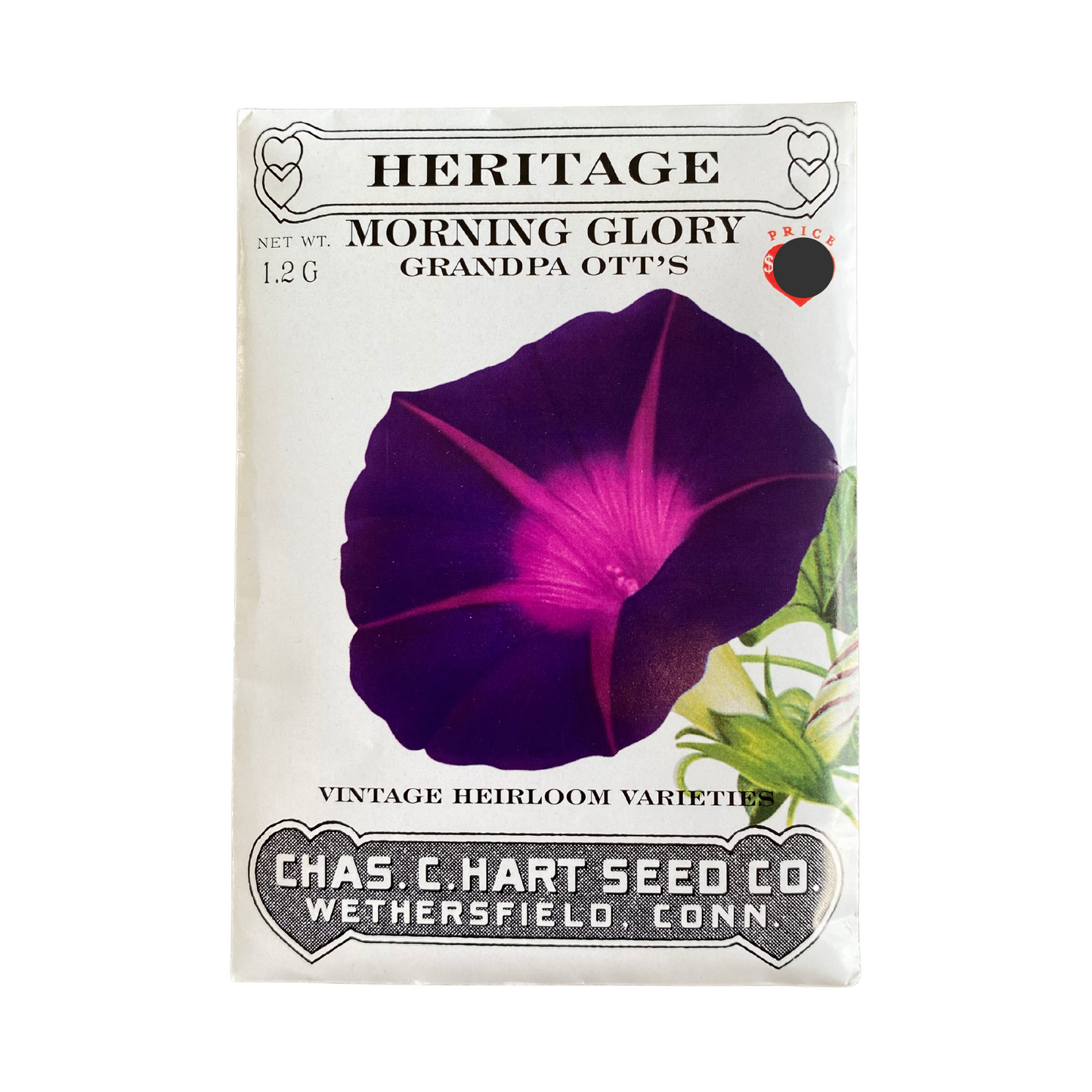 Heritage Morning Glory Grandpa Ott