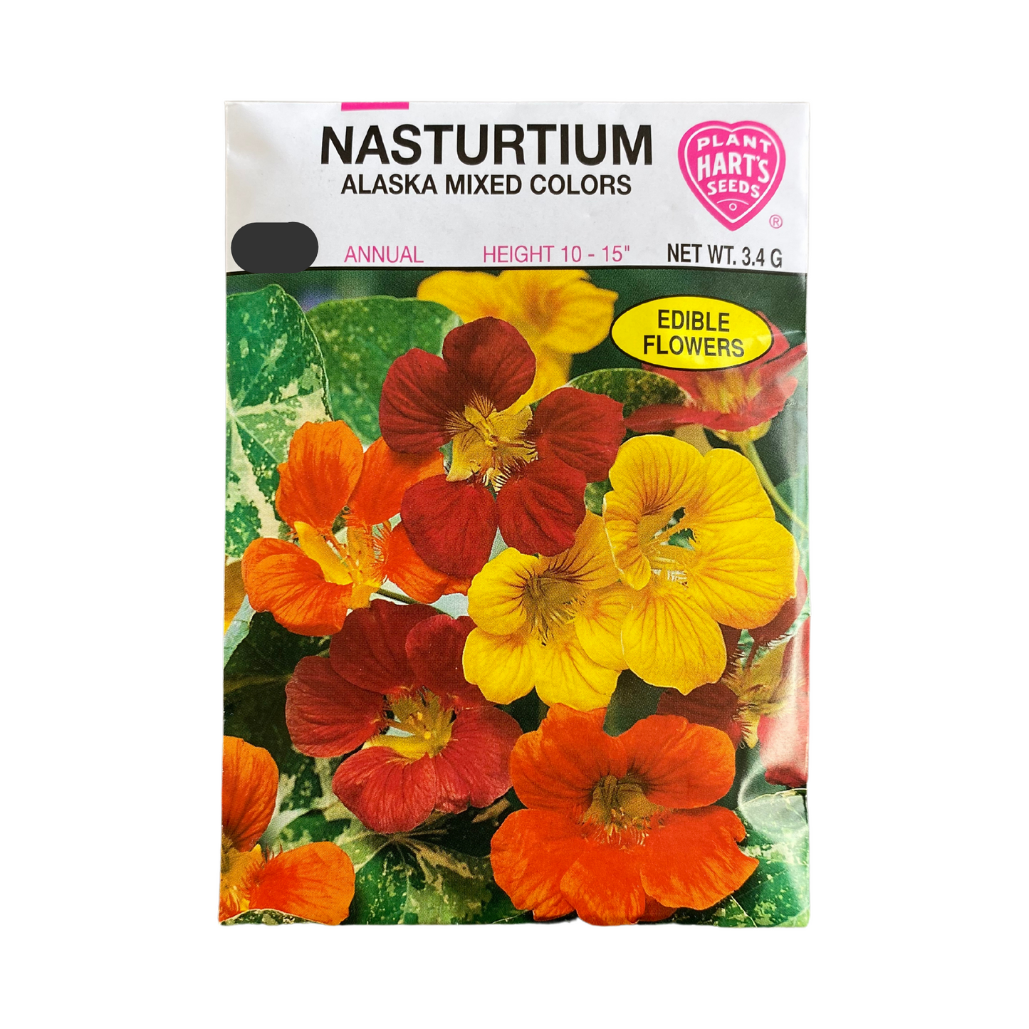 Nasturtium Alaska