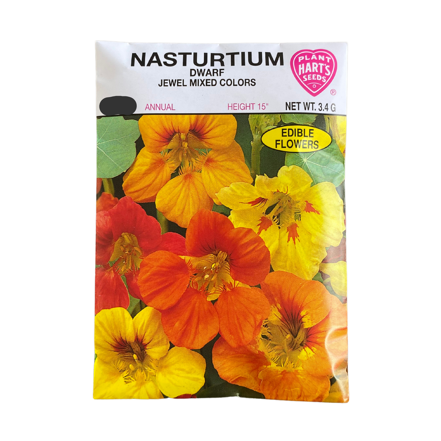 Nasturtium Dwarf Jewel