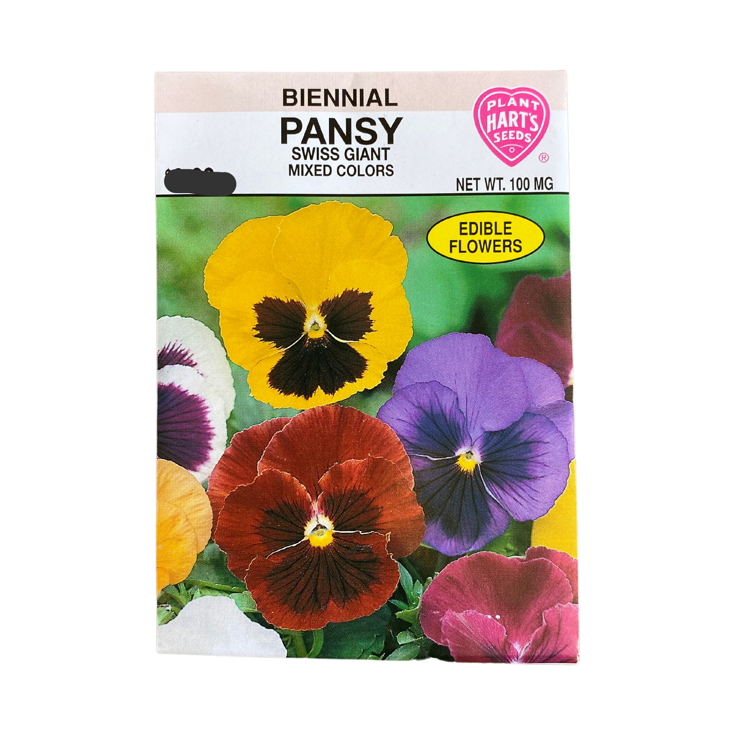 Pansy Swiss Giant