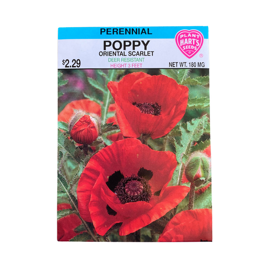 Poppy Oriental Scarlet