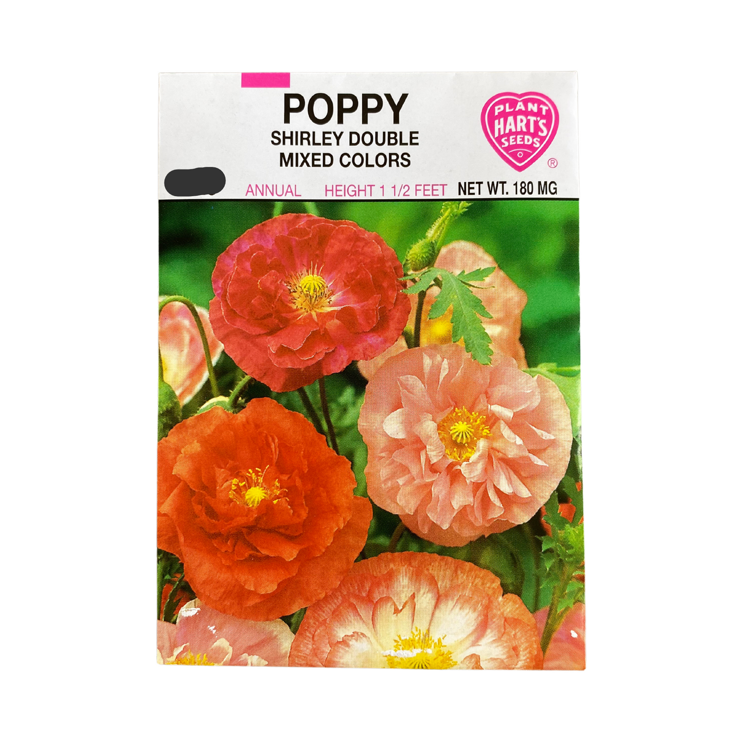 Poppy Shirley Double