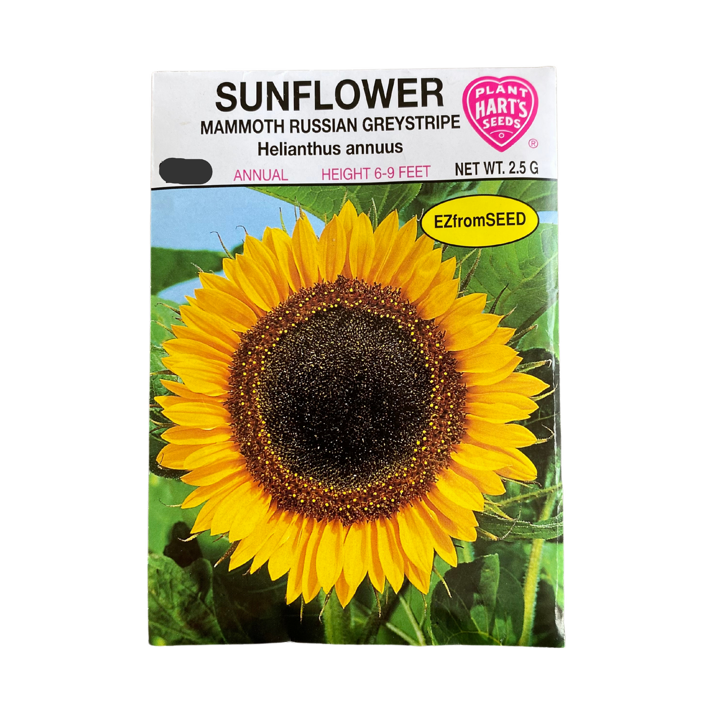 Sunflower Mammoth