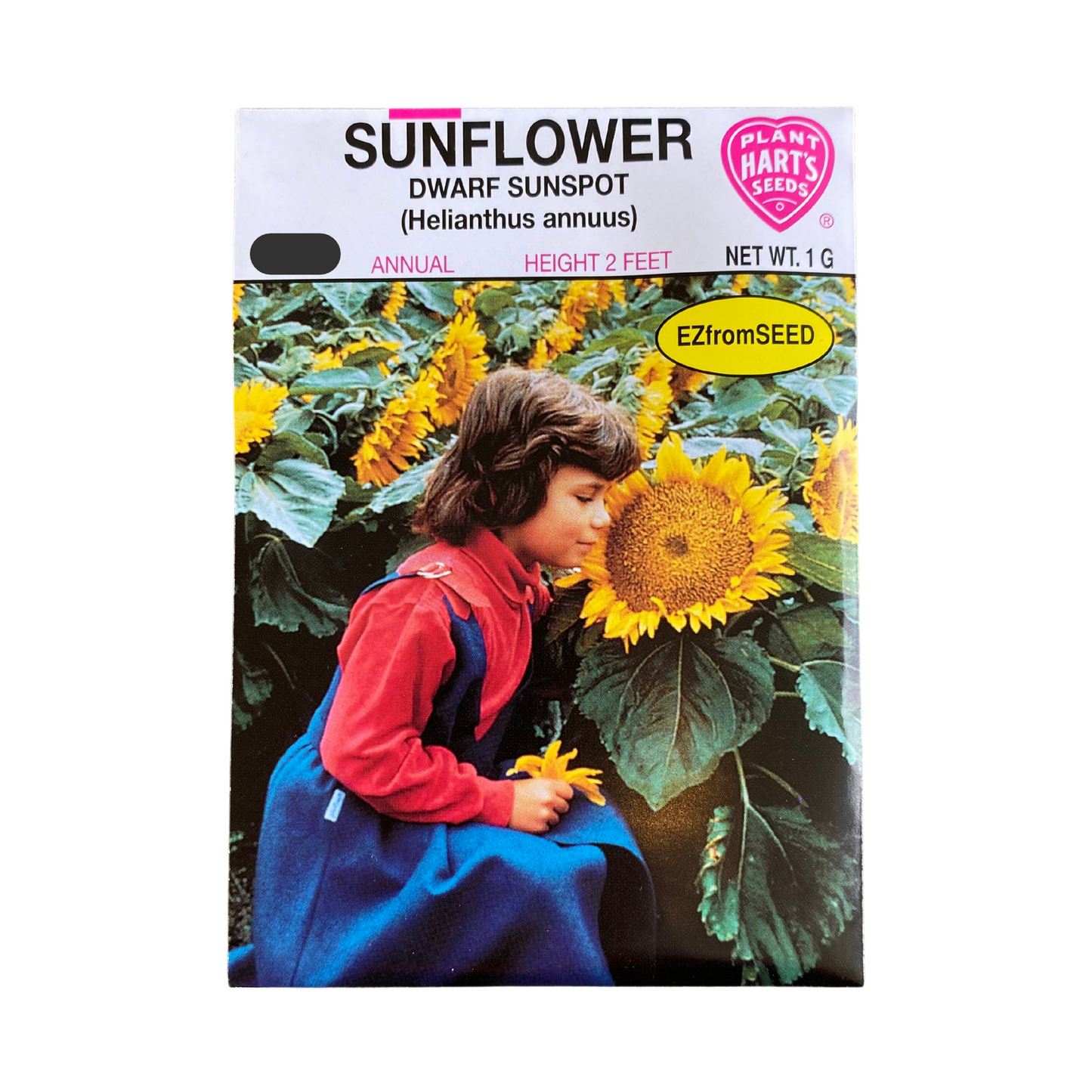 Sunflower Sunspot