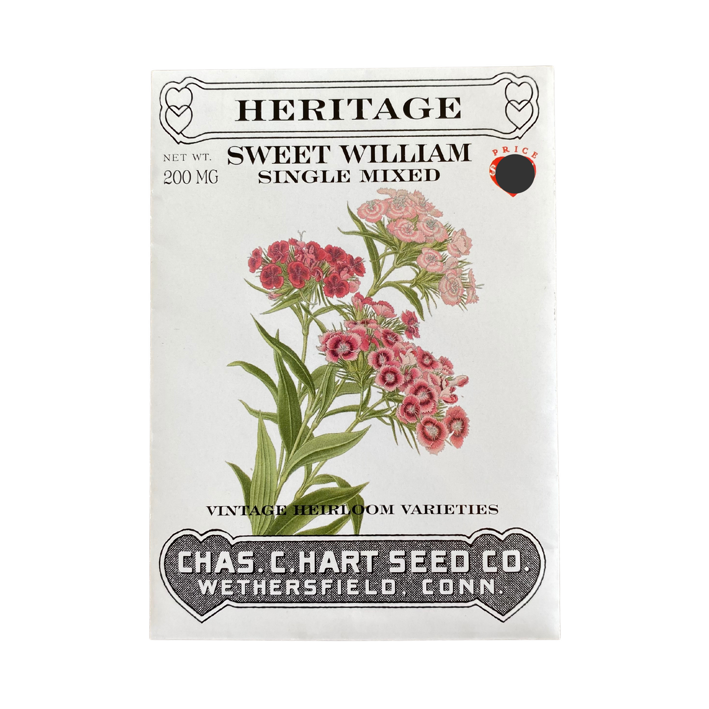 Heritage Sweet William