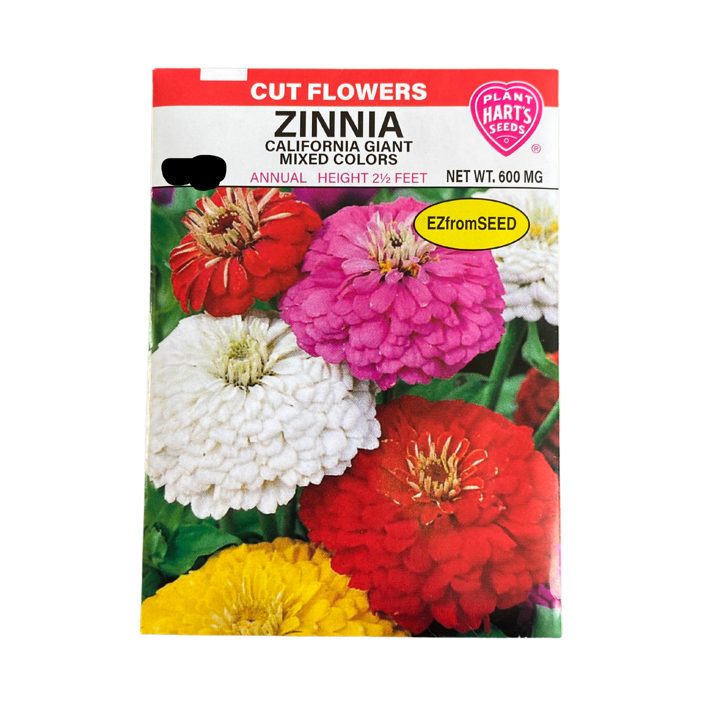 Zinnia California Giant Mix