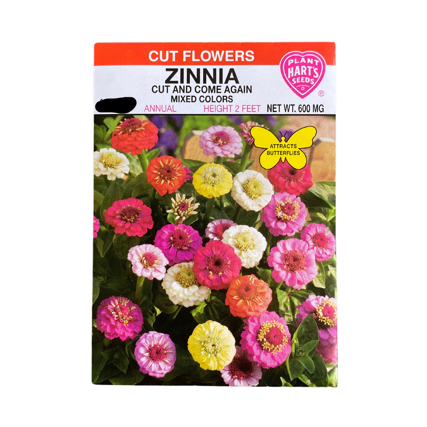 Zinnia Cut & Come