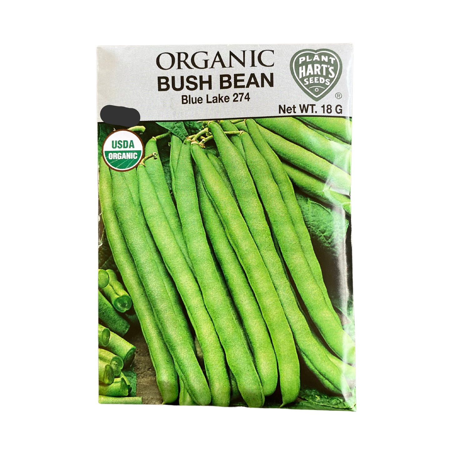 Organic Bean Blue Lake Bush