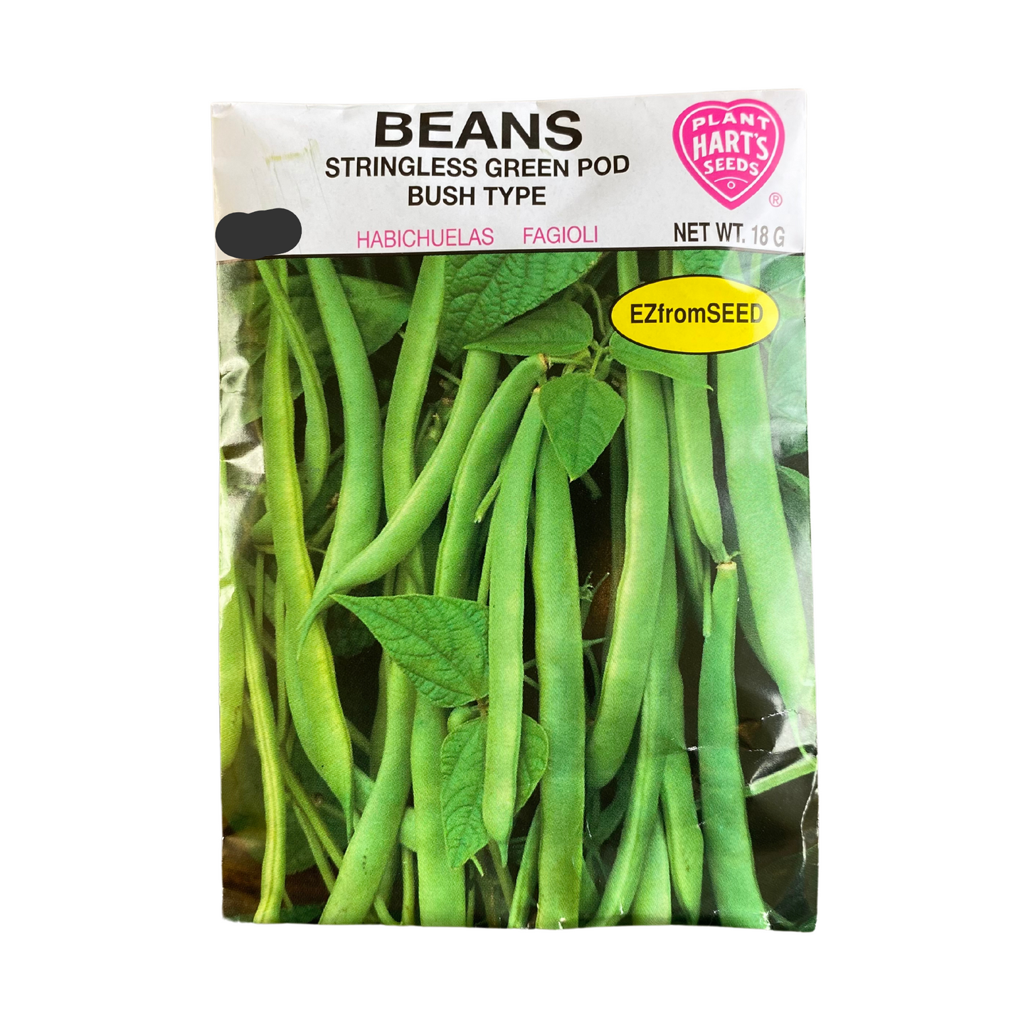 Bean Stringless