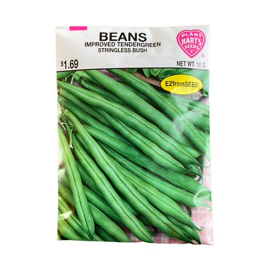 Bean Tendergreen