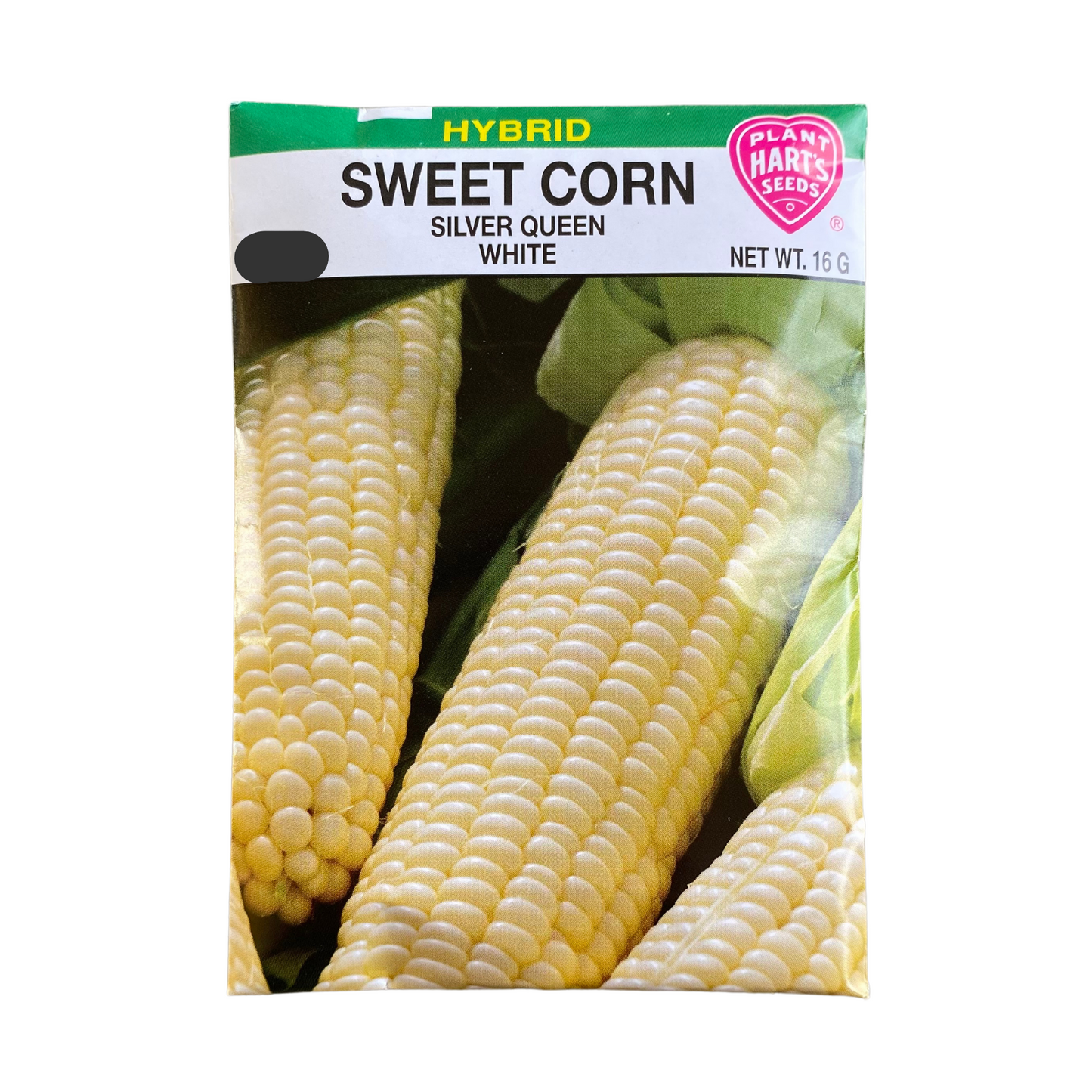 Corn Silver Queen White